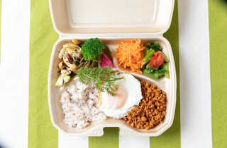 イタリア風ガパオライス